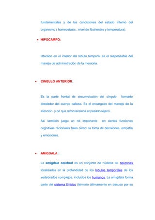 fundamentales y de las condiciones del estado interno del

     organismo ( homeostasis , nivel de Nutrientes y temperatura).


    • HIPOCAMPO:




     Ubicado en el interior del lóbulo temporal es el responsable del

     manejo de administración de la memoria.




•    CINGULO ANTERIOR:



     Es la parte frontal de circunvolución del cíngulo        formado

     alrededor del cuerpo calloso. Es el encargado del manejo de la

     atención y de que removeremos el pasado lejano.


     Así también juega un rol importante        en ciertas funciones

     cognitivas racionales tales como: la toma de decisiones, empatía

     y emociones.




•    AMIGDALA :


     La amígdala cerebral es un conjunto de núcleos de neuronas

     localizadas en la profundidad de los lóbulos temporales de los

     vertebrados complejos, incluidos los humanos. La amígdala forma

     parte del sistema límbico (término últimamente en desuso por su
 