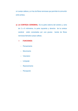 un cuerpo calloso y un haz de fibras nerviosas que permitan la comunión

entre ambos.




a) LA CORTEZA CEREBRAL: Es la parte externa del cerebro y varia

   de 2 a 6 milímetros, la parte izquierda y derecha     de la corteza

   cerebral    están conectadas por una gruesa       banda de fibras

   nerviosas llamada cuerpo calloso.


   •       FUNCIONES:


       -   Pensamiento


       -   Movimiento


       -   Voluntario


       -   Lenguaje


       -   Razonamiento


       -   Percepción
 