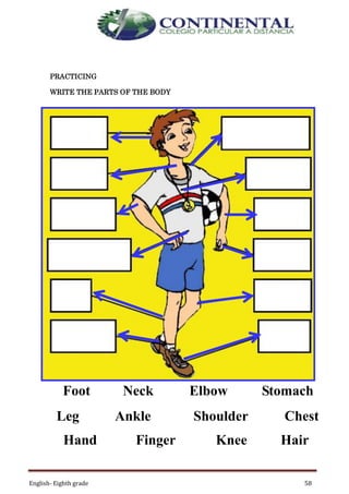 English- Eighth grade 58
PRACTICING
WRITE THE PARTS OF THE BODY
Foot Neck Elbow Stomach
Leg Ankle Shoulder Chest
Hand Finger Knee Hair
 