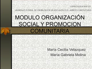 MODULO ORGANIZACIÓN SOCIAL Y PROMOCION COMUNITARIA María Cecilia Velazquez María Gabriela Molina ESPECIALIZACION EN  ABORDAJE INTERAL DE PROBLEMÁTICAS SOCIALES EN EL AMBITO COMUNITARIO 