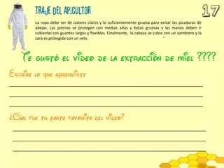 La ropa debe ser de colores claros y lo suficientemente gruesa para evitar las picaduras de
abejas. Las piernas se protegen con medias altas y botas gruesas y las manos deben ir
cubiertas con guantes largos y flexibles. Finalmente, la cabeza se cubre con un sombrero y la
cara es protegida con un velo.
_____________________________________________________________________
_____________________________________________________________________
_____________________________________________________________________
_____________________________________________________________________
_____________________________________________________________________
_____________________________________________________________________
 