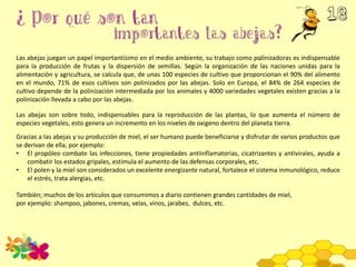 Las abejas juegan un papel importantísimo en el medio ambiente, su trabajo como polinizadoras es indispensable
para la producción de frutas y la dispersión de semillas. Según la organización de las naciones unidas para la
alimentación y agricultura, se calcula que, de unas 100 especies de cultivo que proporcionan el 90% del alimento
en el mundo, 71% de esos cultivos son polinizados por las abejas. Solo en Europa, el 84% de 264 especies de
cultivo depende de la polinización intermediada por los animales y 4000 variedades vegetales existen gracias a la
polinización llevada a cabo por las abejas.
Las abejas son sobre todo, indispensables para la reproducción de las plantas, lo que aumenta el número de
especies vegetales, esto genera un incremento en los niveles de oxigeno dentro del planeta tierra.
Gracias a las abejas y su producción de miel, el ser humano puede beneficiarse y disfrutar de varios productos que
se derivan de ella, por ejemplo:
• El propóleo combate las infecciones, tiene propiedades antiinflamatorias, cicatrizantes y antivirales, ayuda a
combatir los estados gripales, estimula el aumento de las defensas corporales, etc.
• El polen y la miel son considerados un excelente energizante natural, fortalece el sistema inmunológico, reduce
el estrés, trata alergias, etc.
También; muchos de los artículos que consumimos a diario contienen grandes cantidades de miel,
por ejemplo: shampoo, jabones, cremas, velas, vinos, jarabes, dulces, etc.
 