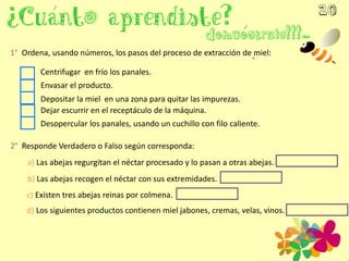 1° Ordena, usando números, los pasos del proceso de extracción de miel:
Desopercular los panales, usando un cuchillo con filo caliente.
Centrifugar en frío los panales.
Depositar la miel en una zona para quitar las impurezas.
Dejar escurrir en el receptáculo de la máquina.
Envasar el producto.
2° Responde Verdadero o Falso según corresponda:
a) Las abejas regurgitan el néctar procesado y lo pasan a otras abejas.
b) Las abejas recogen el néctar con sus extremidades.
c) Existen tres abejas reinas por colmena.
d) Los siguientes productos contienen miel jabones, cremas, velas, vinos.
 
