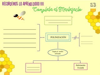 ______________
______________
______________
POLINIZACIÓN
__________________________
____________________
Según el medio
utilizado
_____________
_____________
Polinización
Cruzada
__________________________
__________________________
__________________________
__________________________
__________________________
 