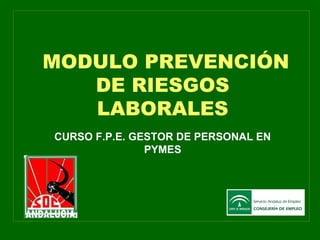 MODULO PREVENCIÓN
DE RIESGOS
LABORALES
CURSO F.P.E. GESTOR DE PERSONAL EN
PYMES

 