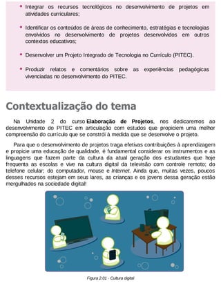 •

Integrar os recursos tecnológicos no desenvolvimento de projetos em
atividades curriculares;

•

Identificar os conteúdos de áreas de conhecimento, estratégias e tecnologias
envolvidos no desenvolvimento de projetos desenvolvidos em outros
contextos educativos;

•

Desenvolver um Projeto Integrado de Tecnologia no Currículo (PITEC).

•

Produzir relatos e comentários sobre as experiências pedagógicas
vivenciadas no desenvolvimento do PITEC.

Contextualização do tema
Na Unidade 2 do curso Elaboração de Projetos, nos dedicaremos ao
desenvolvimento do PITEC em articulação com estudos que propiciem uma melhor
compreensão do currículo que se constrói à medida que se desenvolve o projeto.
Para que o desenvolvimento de projetos traga efetivas contribuições à aprendizagem
e propicie uma educação de qualidade, é fundamental considerar os instrumentos e as
linguagens que fazem parte da cultura da atual geração dos estudantes que hoje
frequenta as escolas e vive na cultura digital da televisão com controle remoto; do
telefone celular; do computador, mouse e Internet. Ainda que, muitas vezes, poucos
desses recursos estejam em seus lares, as crianças e os jovens dessa geração estão
mergulhados na sociedade digital!

Figura 2.01 - Cultura digital

 