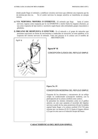 AUTORA: LCDA. GUADALUPE MOYA PAREDES PSICOLOGA EDUCATIVA
donde puede llegar el estímulo y establecer circuitos nerviosos que elaboran una respuesta que ha
de retornar por otra via. En el centro nervioso la energía sensitiva se transforma en energía
motora.
e) VIA NERVIOSA MOTORA O EFERENTE.- El estímulo que llega hasta el centro
nervioso, regresa como respuesta por la vía EFERENTE o motriz hasta los órganos efectores, ya
sea como respuesta de tipo motriz o secretorio según hayan sido estimulados grupos musculares o
glándulas.
f) ÓRGANO DE RESPUESTA O EFECTOR.- Es el músculo o el grupo de músculos que
presentan reacciones en forma de movimientos o traducidas en secreción, en otras palabras, es la
respuesta del sistema nervioso al estímulo. Todo este proceso se le conoce con el nombre de
ARCO REFLEJO.
figura Nº 18
CONCEPCIÓN CLÁSICA DEL REFLEJO SIMPLE
Figura No. 19
CONCEPCIÓN MODERNA DEL REFLEJO SIMPLE
Esquema de los elementos y mecanismos de un reflejo
simple no condicionado (concepción moderna, con la
participación de la corteza cerebral como centro).
Se presentan los mismos elementos como en el gráfico
anterior, en este caso aumenta el recorrido del impulso
nervioso a partir de las astas posteriores (4) por la médula
espinal hasta llegar a la corteza cerebral (5-6-7-8) para
retornar por via motora (9-10-11) hasta el órgano efector
(12) que en este caso es el músculo biceps del brazo.
CARACTERÍSTICAS DEL REFLEJO SIMPLE.
34
 