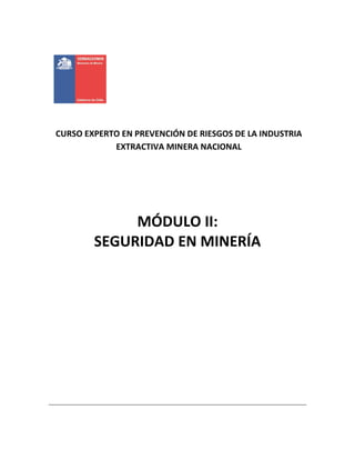 CURSO EXPERTO EN PREVENCIÓN DE RIESGOS DE LA INDUSTRIA
EXTRACTIVA MINERA NACIONAL
MÓDULO II:
SEGURIDAD EN MINERÍA
 