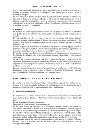MODULO DE TECNOLOGIA AGRARIA
que la cubierta exterior, el pericarpio, es la pared del ovario y no los tegumentos, y el
embrión se encuentra embebido en el endospermo. Este tipo de fruto o "semilla" recibe el
nombre de cariópsis.
E! corte transversal de una cariópsis revela la estructura común en todas la semillas. El
cotiledón es llamado el escutelo. Además, se observan los tejidos protectores, sobre la
plúmula o epicótilo, el coleóptilo, y sobre la radícula, la coleorriza. Las raíces seminales
rudimentarias se encuentran localizadas en la región del nudo cotiledonar; entre éste y el
epicótilo se encuentra el mesocótilo
5. Resumen
En resumen, los cuatro órganos florales básicos son los sépalos, los pétalos, los estambres
y el pistilo; éstos dos últimos están relacionados directamente con la formación de la
semilla.
En los estambres se lleva a cabo el proceso de formación del poleo, llamado
microsporogénesis, mediante el cual se forman los gametas masculinos haploides (1N). En
el pistilo tiene lugar la megasporogénesis que da orígen a la ovocélula que es también
haploide (1N).
Cuando un grano de polen cae en el estigma de una flor de la misma especie, ocurre la
polinización. Luego se sucede la fertilización de la ovocélula por un núcleo espermático, lo
que restablece el número normal de cromosomas, 2N, de las especies.
La semilla o unidad reproductora es un óvulo maduro fertilizado, que está compuesto por
la plúmula, la radícula, uno o dos cotiledones, reservas alimenticias y una cubierta
protectora.
Es obvio que la semilla debe estar viva si se la quiere utilizar para la reproducción. La
longevidad de una semilla depende de muchos y diversos factores, entre los cuales los más
importantes son: la composición química y la estructura física de la semilla y el ambiente
en el cual se almacena.
Por esas razones es importante conocer la estructura de la semilla con la cual trabajamos,
básicamente con el propósito de evaluar la calidad y el desarrollo de la plántula y también
para la selección del equipo apropiado para su cosecha y manejo.
CONCEPTOS BÁSICOS SOBRE LA SEMILLA DE ARROZ
La semilla es el óvulo fertilizado y maduro. En sentido más general las semillas son los
órganos de la planta encargados de la supervivencia de la especie. En el caso del arroz lo
que conocemos por semilla es un fruto maduro, seco e indehiscente.
1.1 Formación de la semilla
La formación de la semilla se inicia con la polinización y la posterior fecundación del
óvulo, luego el grano de arroz se desarrolla en forma continua por un período de 25 a 35
días.
La fase de maduración tiene varias etapas:
Etapa lechosa Etapa pastosa Etapa de maduración
En la etapa lechosa el contenido de la cariópside (porción amilácea del grano) es
inicialmente una sustancia acuosa, más tarde se vuelve de consistencia lechosa, luego se
convierte en una masa blanda; posteriormente en una masa dura en la etapa pastosa. El gra-
no individual está maduro cuando la cariópside se ha desarrollado completamente y se ha
convertido en una masa dura, y sin tintes verdosos. Los granos maduros son de una
coloración verdosa si al cosecharlos tienen un contenido de humedad del 26°/o o más.
La maduración total de los granos de una panícula se completa en un período de 5 a 7 días.
En esta etapa si la semilla carece de latencia y sobrevienen lluvias o temperatura y
Tecnología agraria (ITAV)--------------------- 7
 