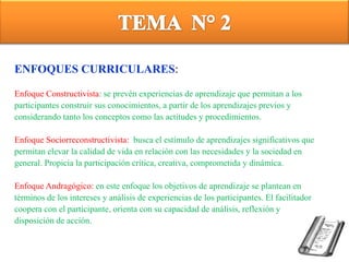 ENFOQUES CURRICULARES