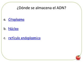 ¿Dónde se almacena el ADN?

a. Citoplasma

b. Núcleo

c. retículo endoplasmico
 
