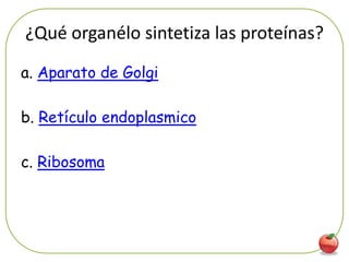 ¿Qué organélo sintetiza las proteínas?
a. Aparato de Golgi

b. Retículo endoplasmico

c. Ribosoma




                                     29
 