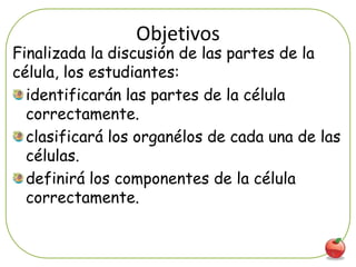 Objetivos
Finalizada la discusión de las partes de la
célula, los estudiantes:
  identificarán las partes de la célula
  correctamente.
  clasificará los organélos de cada una de las
  células.
  definirá los componentes de la célula
  correctamente.


                                            3
 