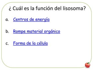 ¿ Cuál es la función del lisosoma?
a.    Centros de energía

b. Rompe material orgánico

c.    Forma de la célula




                                          32
 