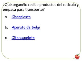 ¿Qué organélo recibe productos del retículo y
empaca para transporte?
 a.   Cloroplasto

 b. Aparato de Golgi

 c.   Citoesqueleto




                                           35
 