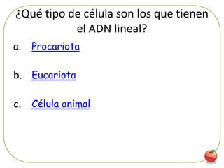 ¿Qué tipo de célula son los que tienen
           el ADN lineal?
a.   Procariota

b. Eucariota

c.   Célula animal




                                     47
 