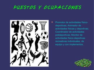 PUESTOS Y OCUPACIONES
➲

Promotor de actividades físicodeportivas; Animador de
actividades físicas y deportivas;
Coordinador de actividades
polideportivas; Monitor de
actividades físico-deportivas
recreativas individuales, de
equipo y con implementos.

 