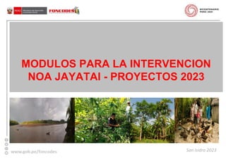 MODULOS PARA LA INTERVENCION
NOA JAYATAI - PROYECTOS 2023
San Isidro 2023
 