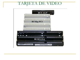 TARJETA DE VIDEO
 