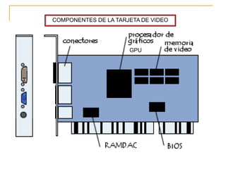 COMPONENTES DE LA TARJETA DE VIDEO




                      GPU
 