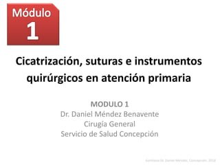 Cicatrización, suturas e instrumentos
quirúrgicos en atención primaria
MODULO 1
Dr. Daniel Méndez Benavente
Cirugía General
Servicio de Salud Concepción
Gentileza Dr. Daniel Méndez, Concepción, 2018
 