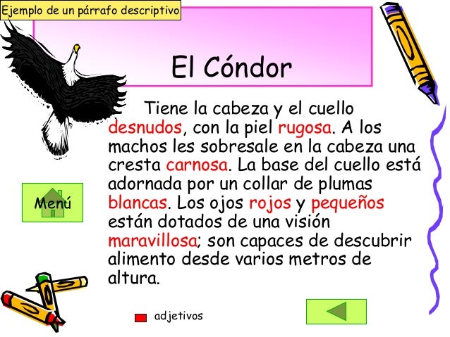 Modulo tipos de parrafos corregido