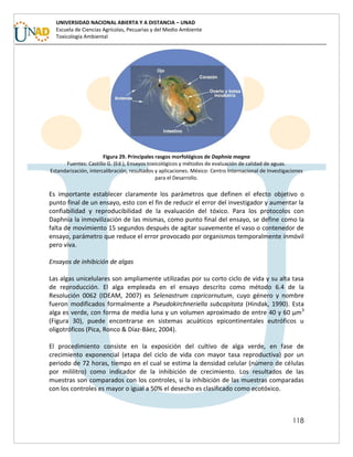 118
UNIVERSIDAD NACIONAL ABIERTA Y A DISTANCIA – UNAD
Escuela de Ciencias Agrícolas, Pecuarias y del Medio Ambiente
Toxicología Ambiental
Figura 29. Principales rasgos morfológicos de Daphnia magna
Fuentes: Castillo G. (Ed.), Ensayos toxicológicos y métodos de evaluación de calidad de aguas.
Estandarización, intercalibración, resultados y aplicaciones. México: Centro Internacional de Investigaciones
para el Desarrollo.
Es importante establecer claramente los parámetros que definen el efecto objetivo o
punto final de un ensayo, esto con el fin de reducir el error del investigador y aumentar la
confiabilidad y reproducibilidad de la evaluación del tóxico. Para los protocolos con
Daphnia la inmovilización de las mismas, como punto final del ensayo, se define como la
falta de movimiento 15 segundos después de agitar suavemente el vaso o contenedor de
ensayo, parámetro que reduce el error provocado por organismos temporalmente inmóvil
pero viva.
Ensayos de inhibición de algas
Las algas unicelulares son ampliamente utilizadas por su corto ciclo de vida y su alta tasa
de reproducción. El alga empleada en el ensayo descrito como método 6.4 de la
Resolución 0062 (IDEAM, 2007) es Selenastrum capricornutum, cuyo género y nombre
fueron modificados formalmente a Pseudokirchneriella subcapitata (Hindak, 1990). Esta
alga es verde, con forma de media luna y un volumen aproximado de entre 40 y 60 μm3
(Figura 30), puede encontrarse en sistemas acuáticos epicontinentales eutróficos u
oligotróficos (Pica, Ronco & Díaz-Báez, 2004).
El procedimiento consiste en la exposición del cultivo de alga verde, en fase de
crecimiento exponencial (etapa del ciclo de vida con mayor tasa reproductiva) por un
periodo de 72 horas, tiempo en el cual se estima la densidad celular (número de células
por mililitro) como indicador de la inhibición de crecimiento. Los resultados de las
muestras son comparados con los controles, si la inhibición de las muestras comparadas
con los controles es mayor o igual a 50% el desecho es clasificado como ecotóxico.
 