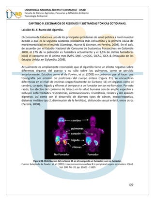 129
UNIVERSIDAD NACIONAL ABIERTA Y A DISTANCIA – UNAD
Escuela de Ciencias Agrícolas, Pecuarias y del Medio Ambiente
Toxicología Ambiental
CAPITULO 9. ESCENARIOS DE RESIDUOS Y SUSTANCIAS TÓXICAS COTIDIANAS.
Lección 41. El humo del cigarrillo.
El consumo de tabaco es uno de los principales problemas de salud pública a nivel mundial
debido a que es la segunda sustancia psicoactiva más consumida y la primera causa de
morbimortalidad en el mundo (Gambogi, Huarte & Lissman, en Pereira, 2008). En el país,
de acuerdo con el Estudio Nacional de Consumo de Sustancias Psicoactivas en Colombia
2008, el 17% de la población es fumadora actualmente y el 2,5% de dichos fumadores
inició el consumo en el último mes (MPS, DNE, UNODC, CICAD, OEA & Embajada de los
Estados Unidos en Colombia, 2009).
Actualmente es ampliamente reconocido que el cigarrillo tiene un efecto negativo sobre
diferentes órganos del cuerpo y no sólo sobre los pulmones, como se percibía
anteriormente. Estudios como el de Fowler, et al. (2003) encontraron que al hacer una
tomografía por emisión de positrones del cuerpo entero (Figura 31), se encuentran
diferencias en el nivel de enzimas (específicamente de Carbono 11) en órganos como el
cerebro, corazón, hígado y riñones al comparar a un fumador con un no-fumador. Por esta
razón, los efectos del consumo de tabaco en la salud humana son de amplio espectro e
incluyen enfermedades respiratorias, cardiovasculares, reumáticas, renales y del aparato
digestivo, así como con el desarrollo de diversos tipos de cáncer, endocrinopatías,
diabetes mellitus tipo 2, disminución de la fertilidad, disfunción sexual eréctil, entre otros
(Pereira, 2008).
Figura 31. Distribución del carbono 11 en el cuerpo de un fumador y un no fumador.
Fuente: Adaptado de Fowler, et al. (2003). Low monoamine oxidase B in peripheral organs in smokers. PNAS,
Vol. 100, No. 20, pp. 11600 - 11605
 