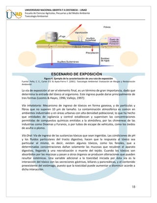 18
UNIVERSIDAD NACIONAL ABIERTA Y A DISTANCIA – UNAD
Escuela de Ciencias Agrícolas, Pecuarias y del Medio Ambiente
Toxicología Ambiental
Figura 4. Ejemplo de la caracterización de una ruta de exposición
Fuente: Peña, C. E., Carter D.E & Ayala-Fierro F. (2001). Toxicología Ambiental: Evaluación de Riesgos y Restauración
Ambiental.
La vía de exposición al ser el elemento final, es un término de gran importancia, dado que
determina la entrada del tóxico al organismo. Este ingreso puede darse principalmente de
tres formas (Loomis & Hayes, 1996; Vallejo, 1997):
Vía inhalatoria: Mecanismo de ingreso de tóxicos en forma gaseosa, y de partículas y
fibras que no superen 10 µm de tamaño. La contaminación atmosférica es común en
ambientes industriales y en áreas urbanas con alta densidad poblacional, lo que ha hecho
que entidades de vigilancia y control establezcan y supervisen las concentraciones
permitidas de compuestos químicos emitidos a la atmósfera, por las chimeneas de las
industrias como Dioxinas y Furanos, o por tubos de escape de vehículos, como los óxidos
de azufre o plomo.
Vía Oral: Vía de ingreso de las sustancias tóxicas que sean ingeridas. Las condiciones de pH
y los fluidos particulares del tracto digestivo, hacen que la respuesta al tóxico sea
particular al mismo, es decir, existen algunos tóxicos, como los fenoles, que a
determinadas concentraciones dañan solamente las mucosas que recubren el aparato
digestivo, llegando a una necrotización o muerte del tejido. Cuando los tóxicos son
absorbidos por las mucosas y pasan a otros órganos se producen alteraciones que pueden
resultar sistémicas. Una variable adicional a la toxicidad iniciada por ésta vía es la
interacción del tóxico con las secreciones gástricas, biliares y pancreáticas, y el contenido
preexistente del estómago, puesto que la toxicidad puede aumentar o disminuir acorde a
dicha interacción.
 