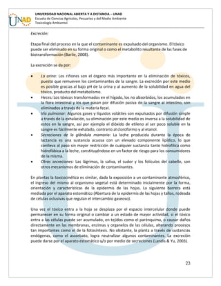 23
UNIVERSIDAD NACIONAL ABIERTA Y A DISTANCIA – UNAD
Escuela de Ciencias Agrícolas, Pecuarias y del Medio Ambiente
Toxicología Ambiental
Excreción:
Etapa final del proceso en la que el contaminante es expulsado del organismo. El tóxico
puede ser eliminado en su forma original o como el metabolito resultante de las fases de
biotransformación (Barile, 2008).
La excreción se da por:
 La orina: Los riñones son el órgano más importante en la eliminación de tóxicos,
puesto que remueven los contaminantes de la sangre. La excreción por este medio
es posible gracias al bajo pH de la orina y al aumento de la solubilidad en agua del
tóxico, producto del metabolismo.
 Heces: Los tóxicos transformados en el hígado, los no absorbidos, los acumulados en
la flora intestinal y los que pasan por difusión pasiva de la sangre al intestino, son
eliminados a través de la materia fecal.
 Vía pulmonar: Algunos gases y líquidos volátiles son expulsados por difusión simple
a través de la exhalación, su eliminación por este medio es inversa a la solubilidad de
estos en la sangre, así por ejemplo el dióxido de etileno al ser poco soluble en la
sangre es fácilmente exhalado, contrario al cloroformo y al etanol.
 Secreciones de la glándula mamaria: La leche producida durante la época de
lactancia es una sustancia acuosa con un elevado componente lipídico, lo que
conlleva al paso sin mayor restricción de cualquier sustancia tanto hidrofílica como
hidrofóbica a la leche, constituyéndose en un factor de riesgo para los consumidores
de la misma.
 Otras secreciones: Las lágrimas, la saliva, el sudor y los folículos del cabello, son
otros mecanismos de eliminación de contaminantes.
En plantas la toxicocinética es similar, dada la exposición a un contaminante atmosférico,
el ingreso del mismo al organismo vegetal está determinado inicialmente por la forma,
orientación y características de la epidermis de las hojas. La siguiente barrera está
mediada por el aparato estomático (Abertura de la epidermis de las hojas y tallos, rodeada
de células oclusivas que regulan el intercambio gaseoso).
Una vez el tóxico entra a la hoja se desplaza por el espacio intercelular donde puede
permanecer en su forma original o cambiar a un estado de mayor actividad, si el tóxico
entra a las células puede ser acumulado, en tejidos como el parénquima, o causar daños
directamente en las membranas, enzimas y organelos de las células, alterando procesos
tan importantes como el de la fotosíntesis. No obstante, la planta a través de sustancias
endógenas, como el ascorbato, logra neutralizar algunos contaminantes. La excreción
puede darse por el aparato estomático y/o por medio de secreciones (Landis & Yu, 2003).
 