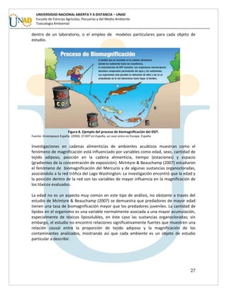 27
UNIVERSIDAD NACIONAL ABIERTA Y A DISTANCIA – UNAD
Escuela de Ciencias Agrícolas, Pecuarias y del Medio Ambiente
Toxicología Ambiental
dentro de un laboratorio, o el empleo de modelos particulares para cada objeto de
estudio.
Figura 8. Ejemplo del proceso de biomagnificación del DDT.
Fuente: Greenpeace España. (2004). El DDT en España, un caso único en Europa. España.
Investigaciones en cadenas alimenticias de ambientes acuáticos muestran como el
fenómeno de magnificación está influenciado por variables como edad, sexo, cantidad de
tejido adiposo, posición en la cadena alimenticia, tiempo (estaciones) y espacio
(gradientes de la concentración de exposición). McIntyre & Beauchamp (2007) estudiaron
el fenómeno de biomagnificación del Mercurio y de algunas sustancias organocloradas,
asociándolo a la red trófica del Lago Washington. La investigación encontró que la edad y
la posición dentro de la red son las variables de mayor influencia en la magnificación de
los tóxicos evaluados.
La edad no es un aspecto muy común en este tipo de análisis, no obstante a través del
estudio de McIntyre & Beauchamp (2007) se demuestra que predadores de mayor edad
tienen una tasa de biomagnificación mayor que los predadores juveniles. La cantidad de
lípidos en el organismo es una variable normalmente asociada a una mayor acumulación,
especialmente de tóxicos liposolubles, en éste caso las sustancias organocloradas; sin
embargo, el estudio no encontró relaciones significativamente fuertes que muestren una
relación causal entre la proporción de tejido adiposo y la magnificación de los
contaminantes analizados, mostrando así que cada ambiente es un objeto de estudio
particular a describir.
 
