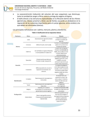 30
UNIVERSIDAD NACIONAL ABIERTA Y A DISTANCIA – UNAD
Escuela de Ciencias Agrícolas, Pecuarias y del Medio Ambiente
Toxicología Ambiental
 La vasoconstricción (reducción del volumen del vaso sanguíneo), que disminuye,
tanto la cantidad de sangre a filtrar como la entrega de oxígeno al órgano,
 El daño directo a las estructuras especializadas en la filtración dentro de los riñones
(glomérulos, túbulos proximal y distal, asa de Henle), causando un desbalance en la
regulación de las sustancias importantes para el cuerpo (glucosa, amino ácidos) y las
que deben ser eliminadas (tóxicos).
Los principales nefrotoxicos son: cadmio, mercurio, plomo y cloroformo.
Tabla 4. Clasificación de las respuestas tóxicas
 