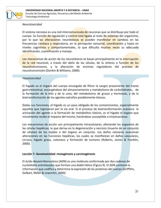 31
UNIVERSIDAD NACIONAL ABIERTA Y A DISTANCIA – UNAD
Escuela de Ciencias Agrícolas, Pecuarias y del Medio Ambiente
Toxicología Ambiental
Neurotoxicidad
El sistema nervioso es una red intercomunicada de neuronas que se distribuye por todo el
cuerpo. Su función de regulación y control está ligada al resto de sistemas del organismo,
por lo que las alteraciones neurotóxicas se pueden manifestar en cambios en las
frecuencias cardiaca y respiratoria, en la percepción sensorial, coordinación y hasta en
niveles cognitivos y comportamentales, lo que dificulta muchas veces su adecuada
identificación, cuantificación y manejo.
Los mecanismos de acción de los neurotóxicos se basan principalmente en la interrupción
de la red neuronal, a través del daño de las células, de la síntesis o función de los
neurotransmisores, y la alteración de enzimas reguladores del proceso de
neurotransmisión (Donkin & Williams, 2000).
Hepatoxicidad
El hígado es el órgano del cuerpo encargado de filtrar la sangre proveniente del tracto
gastrointestinal, encargándose del almacenamiento y metabolismo de carbohidratos, de
la formación de la bilis y de la urea, del metabolismo de grasas y hormonas, y de la
biotransformación de los agentes extraños posiblemente tóxicos.
Dadas sus funciones, el hígado es un paso obligado de los contaminantes, especialmente
aquellos que ingresaron por la vía oral. Si el proceso de biotransformación ocasiona la
activación del agente o la formación de metabolitos tóxicos, es el hígado el órgano que
inicialmente recibe el impacto del mismo, haciéndose susceptible a intoxicaciones.
Los mecanismos de acción son principalmente intracelulares, afectando los organelos de
las células hepáticas, lo que deriva en la degeneración y necrosis (muerte de un conjunto
de células) de los tejidos o del órgano en conjunto. Los daños celulares ocasionan
alteraciones en las funciones hepáticas, las cuales se manifiestan en daños vasculares,
cirrosis, hígado graso, colestasis y formación de tumores (Roberts, James & Franklin,
2000).
Lección 7. Genotoxicidad: mutagénesis y carcinogénesis
El ácido desoxirribonucleico (ADN) es una molécula conformada por dos cadenas de
nucleótidos entrelazados que forman una doble hélice (Figura 9). El ADN contiene la
información que codifica y determina la expresión de las proteínas del cuerpo (Griffiths,
Gelbart, Miller & Lewontin, 2000).
 