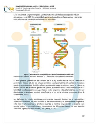 32
UNIVERSIDAD NACIONAL ABIERTA Y A DISTANCIA – UNAD
Escuela de Ciencias Agrícolas, Pecuarias y del Medio Ambiente
Toxicología Ambiental
En la actualidad, un gran rango de agentes naturales y sintéticos es capaz de inducir
alteraciones en el ADN (Genotoxicidad), generando cambios en la estructura y por ende
en la información contenida en la molécula (mutación).
Figura 9. Estructura del nucleótido y de la doble cadena en espiral del ADN.
Fuente: Curtis, H & Barnes, N.S. (2000). Biología (6
a
Ed.). Buenos Aires: Editorial Medica Panamericana.
La mutagénesis (generación de cambios en el ADN) puede afectar células somáticas o
germinales (Figura 10). En las células somáticas (cualquier célula del cuerpo) la mutación
puede transmitirse por división celular ocasionando degeneraciones, como el cáncer, o
muerte celular. En las células germinales (óvulo, espermatozoide) causa disminución en la
fertilidad, abortos espontáneos, y defectos en las progenie, estas alteraciones pueden ser
dominantes o recesivas, es decir manifestarse o no en la primera generación (Teaf &
Middendorf, 2000).
Los daños en las células somáticas embrionarias, causados después de la concepción y
antes del nacimiento, es decir durante el desarrollo del feto, se denomina teratogénesis,
este tipo de alteraciones se producen cuando la hembra en gestación se expone a un
agente tóxico. La teratogénesis es consecuencia de diferentes tóxicos, no sólo aquellos
asociados a genotoxicidad (Vallejo, 1997; Philp, 2001).
 