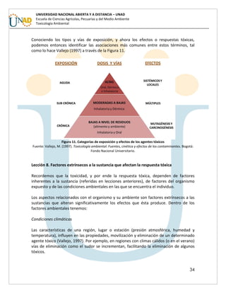 34
UNIVERSIDAD NACIONAL ABIERTA Y A DISTANCIA – UNAD
Escuela de Ciencias Agrícolas, Pecuarias y del Medio Ambiente
Toxicología Ambiental
Conociendo los tipos y vías de exposición, y ahora los efectos o respuestas tóxicas,
podemos entonces identificar las asociaciones más comunes entre estos términos, tal
como lo hace Vallejo (1997) a través de la Figura 11.
Figura 11. Categorías de exposición y efectos de los agentes tóxicos
Fuente: Vallejo, M. (1997). Toxicología ambiental: Fuentes, cinética y efectos de los contaminantes. Bogotá:
Fondo Nacional Universitario.
Lección 8. Factores extrínsecos a la sustancia que afectan la respuesta tóxica
Recordemos que la toxicidad, y por ende la respuesta tóxica, dependen de factores
inherentes a la sustancia (referidas en lecciones anteriores), de factores del organismo
expuesto y de las condiciones ambientales en las que se encuentra el individuo.
Los aspectos relacionados con el organismo y su ambiente son factores extrínsecos a las
sustancias que alteran significativamente los efectos que ésta produce. Dentro de los
factores ambientales tenemos:
Condiciones climáticas
Las características de una región, lugar o estación (presión atmosférica, humedad y
temperatura), influyen en las propiedades, movilización y eliminación de un determinado
agente tóxico (Vallejo, 1997). Por ejemplo, en regiones con climas cálidos (o en el verano)
vías de eliminación como el sudor se incrementan, facilitando la eliminación de algunos
tóxicos.
 