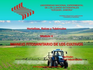 Hortalizas, Raíces y Tubérculos
Modulo V
MANEJO FITOSANITARIO DE LOS CULTIVOS
Facilitador:
Prof. Hazael Alfonzo
San Fernando de Apure, Julio de 2.016
 