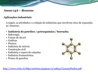 Anexo 13A – Benzeno

Aplicações industriais

  A seguir, as atividades e a relação de indústrias que envolvem risco de exposição
  ao benzeno:

  •   Indústria do petróleo / petroquímica / borracha
  •   Siderurgia
  •   Usinas de álcool
  •   Gráficas
  •   Pintura
  •   Indústria de móveis
  •   Construção civil
  •   Indústria e reparo de calçados
  •   Indústria Farmacêutica
  •   Postos de gasolina



http://www.eclac.cl/ddpe/noticias/paginas/4/19834/LianzayNadim.pdf
 