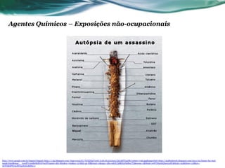 Agentes Químicos – Exposições não-ocupacionais




http://www.google.com.br/imgres?imgurl=http://1.bp.blogspot.com/-hsgcvr43LOU/TdXZHpTor6I/AAAAAAAAAaA/QxL8dTIxgNk/s1600/1746.jpg&imgrefurl=http://atalhodaweb.blogspot.com/2011/05/fumar-faz-mal-
saude.html&usg=__AzuKTe3r9BelkdhOrVseDYnauiw=&h=862&w=700&sz=127&hl=pt-BR&start=2&sig2=5R9-mkHJ38KR5JSnfberTQ&zoom=1&tbnid=wWYMadaQbn104M:&tbnh=145&tbnw=118&ei=-
2ClT6KfDYrc9ASTqoSeAw&itbs=1
 