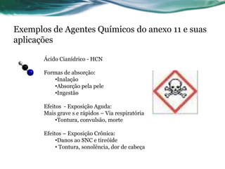 Exemplos de Agentes Químicos do anexo 11 e suas
aplicações

       Ácido Cianídrico - HCN

       Formas de absorção:
           •Inalação
           •Absorção pela pele
           •Ingestão

       Efeitos - Exposição Aguda:
       Mais grave s e rápidos – Via respiratória
            •Tontura, convulsão, morte

       Efeitos – Exposição Crônica:
            •Danos ao SNC e tireóide
            • Tontura, sonolência, dor de cabeça
 