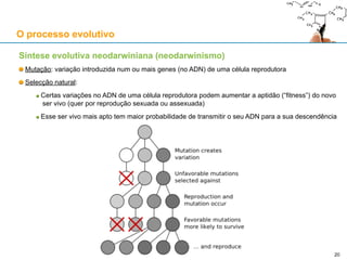 Causa final
P: Para que é que foi feita a coisa?
R: Para retratar a a beleza feminina / divina
Causa formal
P: O que é a coisa?
R: Uma estátua de mármore da Vénus de Milo
Causa eficiente
P: Como surgiu (ou como foi feita) a coisa?
R: A técnica do escultor no manusear do martelo e escopo
Causa material
P: De que é feita a coisa?
R: De mármore
Os quatro tipos de causas das coisas naturais
O processo evolutivo
Por vezes, as causas coincidem na mesma coisa: p.ex.: a alma, que para
Aristóteles é a forma dos seres vivos, pode ser causa final, formal e eficiente.
20
 