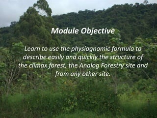 Module Objective
Learn to use the physiognomic formula to
describe easily and quickly the structure of
the climax forest, the Analog Forestry site and
from any other site.

 