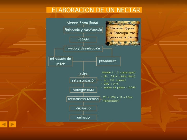 Modulo Haccp - Modulo