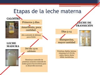 Etapas de la leche materna
Primeros 5 días.
Amarillenta, poca
cantidad.
Alto contenido de defensas
para el bebé.
LECHE DE
TRANSICIÓN
Días 5-14
Blanquecina,
mayor cantidad
Proteínas, lípidos, lactosa,
vitaminas A-C-D-E-K,
calcio, hierro, factor
bífido. lactoferrina
LECHE
MADURA
Del día 14 en
adelante
Disminuye contenido de
proteínas aumenta contenido de
ácidos grasos favorecedores para
su desarrollo neuronal.
 