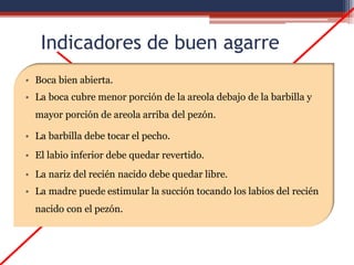 Indicadores de buen agarre
• Boca bien abierta.
• La boca cubre menor porción de la areola debajo de la barbilla y
mayor porción de areola arriba del pezón.
• La barbilla debe tocar el pecho.
• El labio inferior debe quedar revertido.
• La nariz del recién nacido debe quedar libre.
• La madre puede estimular la succión tocando los labios del recién
nacido con el pezón.
 