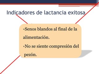 Indicadores de lactancia exitosa
•Senos blandos al final de la
alimentación.
•No se siente compresión del
pezón.
 