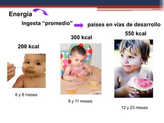 Energía
200 kcal
6 y 8 meses
Ingesta “promedio” países en vías de desarrollo
300 kcal
9 y 11 meses
550 kcal
12 y 23 meses
 