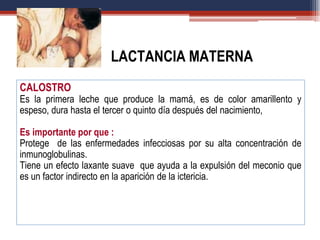 CALOSTRO
Es la primera leche que produce la mamá, es de color amarillento y
espeso, dura hasta el tercer o quinto día después del nacimiento,
Es importante por que :
Protege de las enfermedades infecciosas por su alta concentración de
inmunoglobulinas.
Tiene un efecto laxante suave que ayuda a la expulsión del meconio que
es un factor indirecto en la aparición de la ictericia.
LACTANCIA MATERNA
 