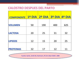 CALOSTRO DESPUES DEL PARTO
COMPONENTE 1º DIA 2º DIA 3º DIA 4º DIA
VOLUMEN 50 190 400 625
LACTOSA 20 25 31 32
LIPIDOS 12 15 20 25
PROTEINAS 32 17 12 11
Fuente: SaintL, Smith M, Hartmann, PE: Br J.Nutr 58:87, 1984
 