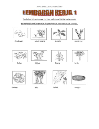 Modul pdp sains tahun 5 KSSR