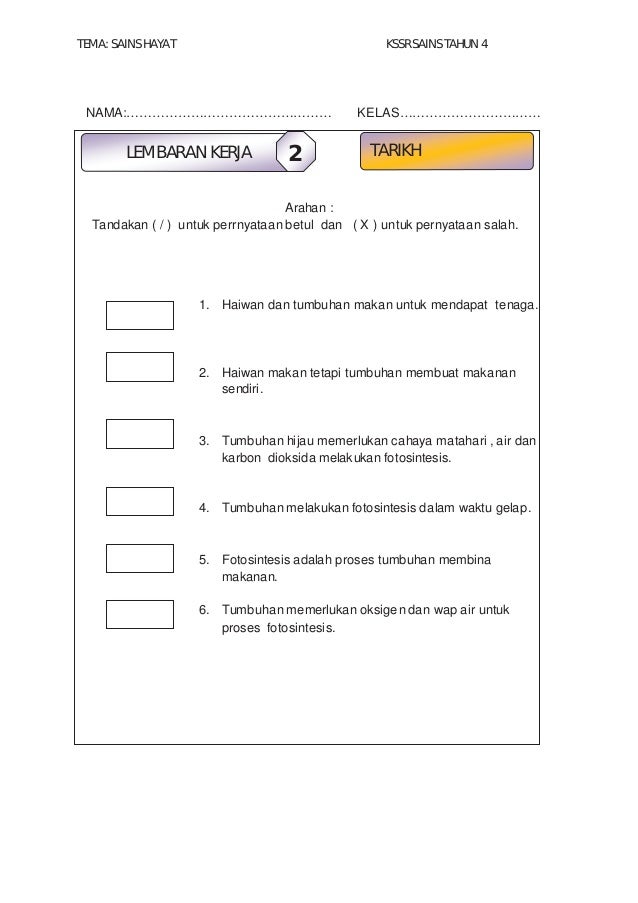 Modul Pembelajaran Sains Tahun 4  Soal Essay
